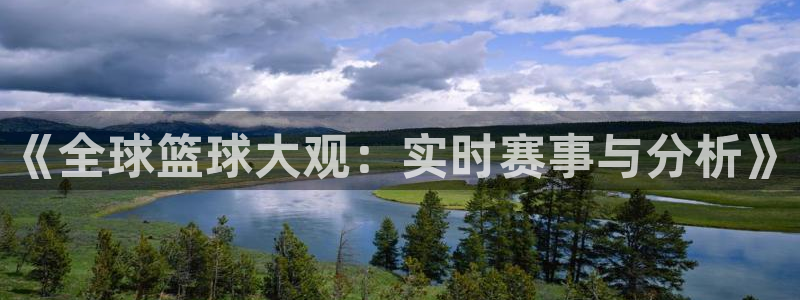 《全球篮球大观：实时赛事与分析》