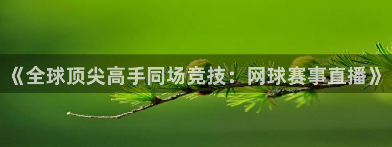 《全球顶尖高手同场竞技：网球赛事直播》
