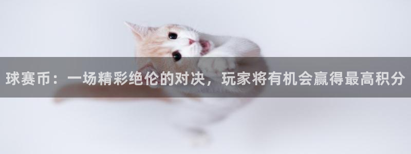 球赛币：一场精彩绝伦的对决，玩家将有机会赢得最高积分