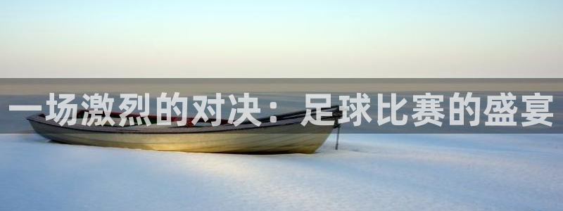 一场激烈的对决：足球比赛的盛宴