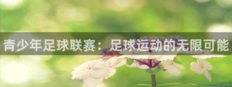 中欧体育平台登录不上去：青少年足球联赛：足球运动的无限可能