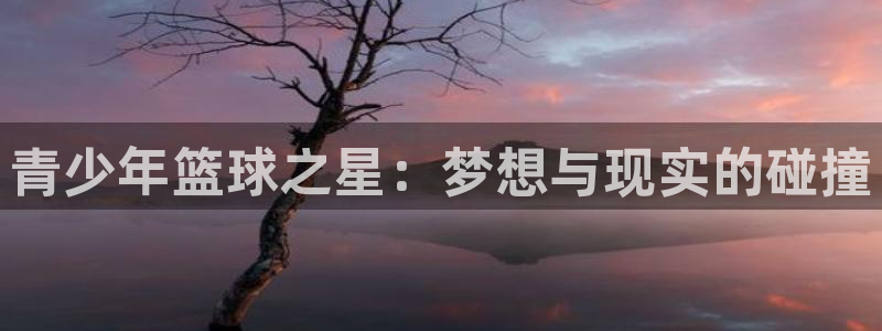 中欧体育充值：青少年篮球之星：梦想与现实的碰撞