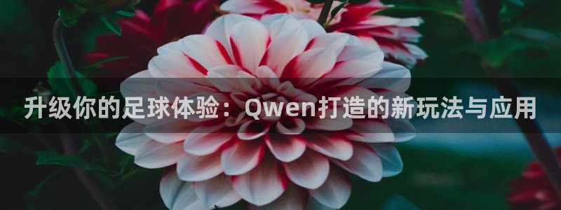 中欧体育充值：升级你的足球体验：Qwen打造的新玩法与应用