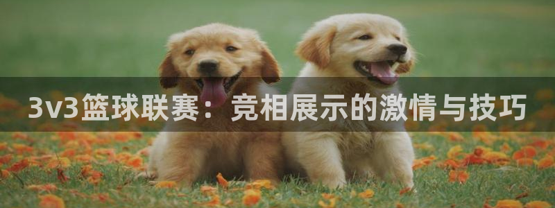 中欧体育平台官网网址：3v3篮球联赛：竞相展示的激情与技巧